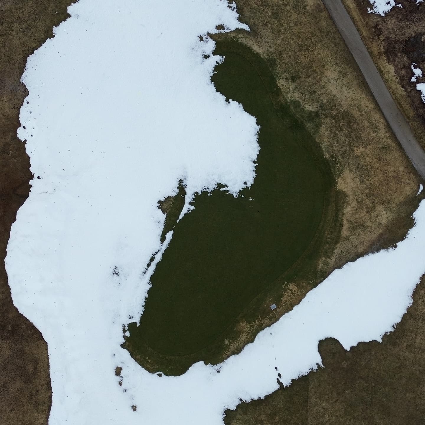 The greens are looking amazing π₯π₯π₯
