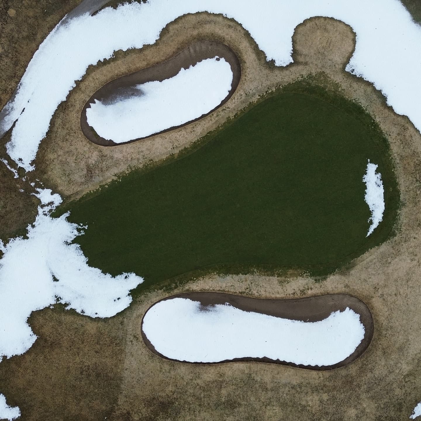 The greens are looking amazing π₯π₯π₯