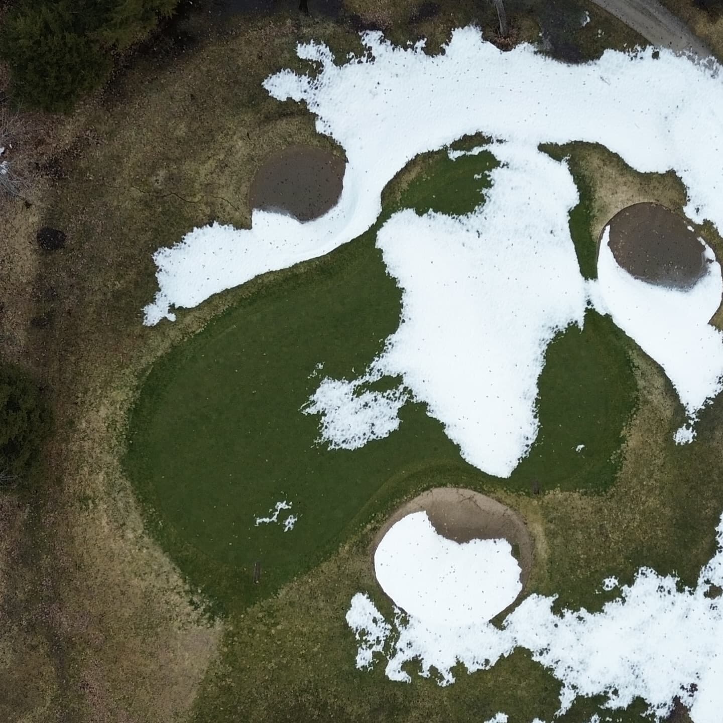 The greens are looking amazing π₯π₯π₯