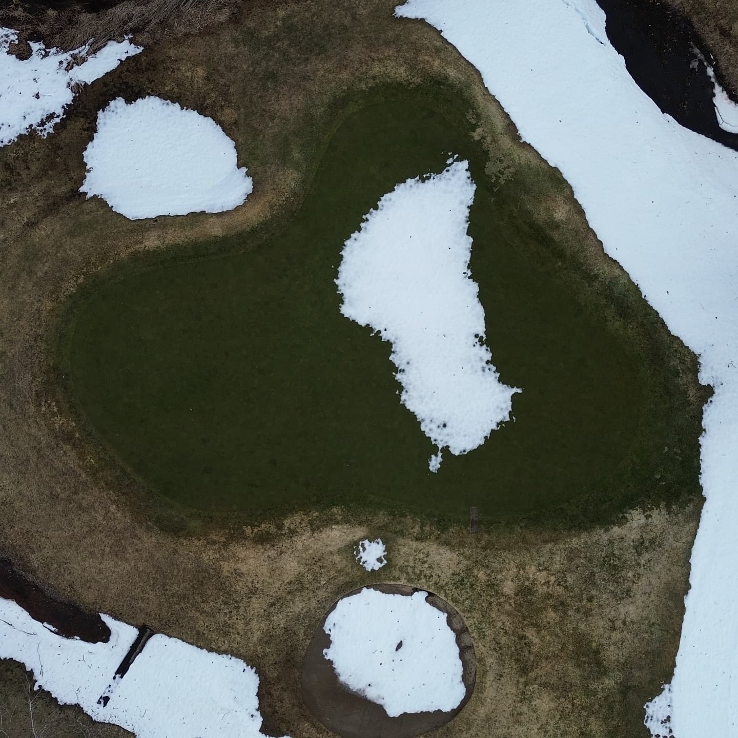 The greens are looking amazing π₯π₯π₯