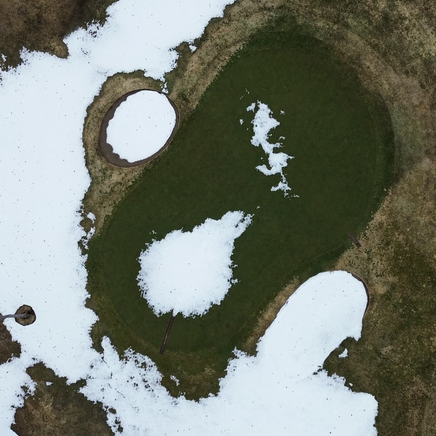 The greens are looking amazing π₯π₯π₯
