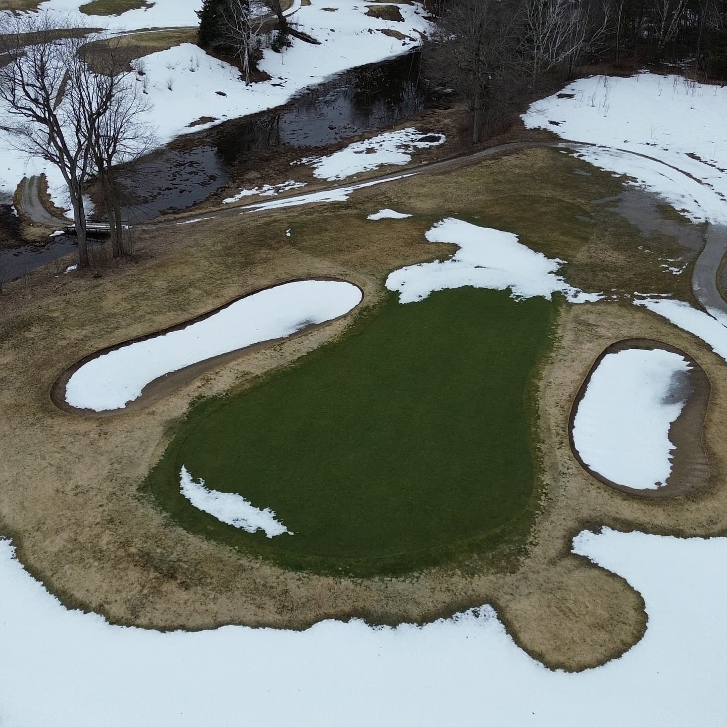 The greens are looking amazing π₯π₯π₯