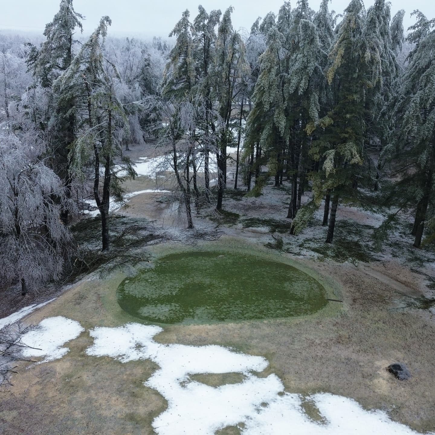 What a week! We received significant tree damage on the course, especially around the clubhouse and the north course.
Outside of trees the course was not damaged, and the greens are still looking great π
Weβre happy to report that everyoneβs favourite trees on 6 north and 9 south received no damage from the storm π
As we wait on power to be restored our crew is out cleaning up the damaged trees and getting the course ready for the season!