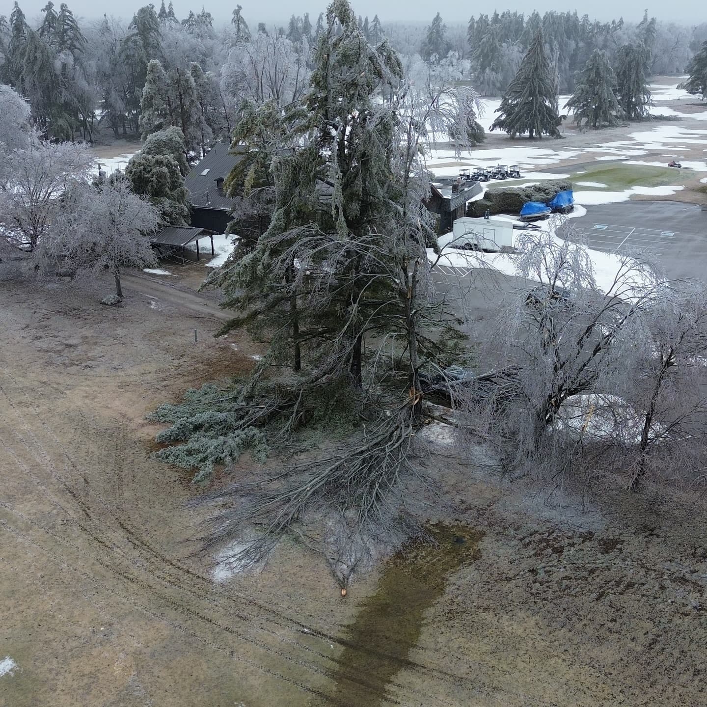 What a week! We received significant tree damage on the course, especially around the clubhouse and the north course.
Outside of trees the course was not damaged, and the greens are still looking great π
Weβre happy to report that everyoneβs favourite trees on 6 north and 9 south received no damage from the storm π
As we wait on power to be restored our crew is out cleaning up the damaged trees and getting the course ready for the season!