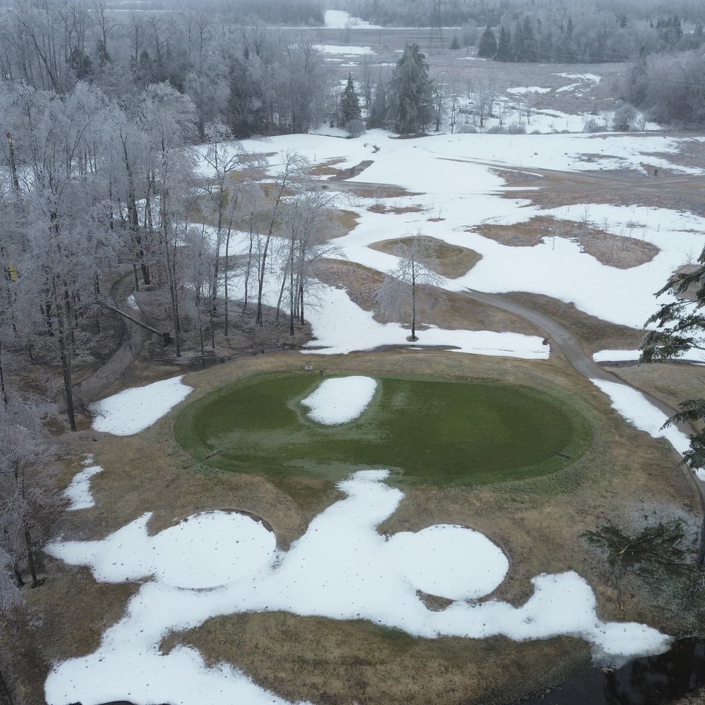 What a week! We received significant tree damage on the course, especially around the clubhouse and the north course.
Outside of trees the course was not damaged, and the greens are still looking great π
Weβre happy to report that everyoneβs favourite trees on 6 north and 9 south received no damage from the storm π
As we wait on power to be restored our crew is out cleaning up the damaged trees and getting the course ready for the season!