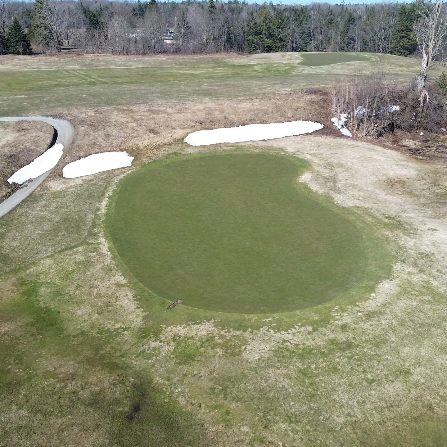 The greens made it through the ice storm π₯
Stay tuned for opening day announcement!