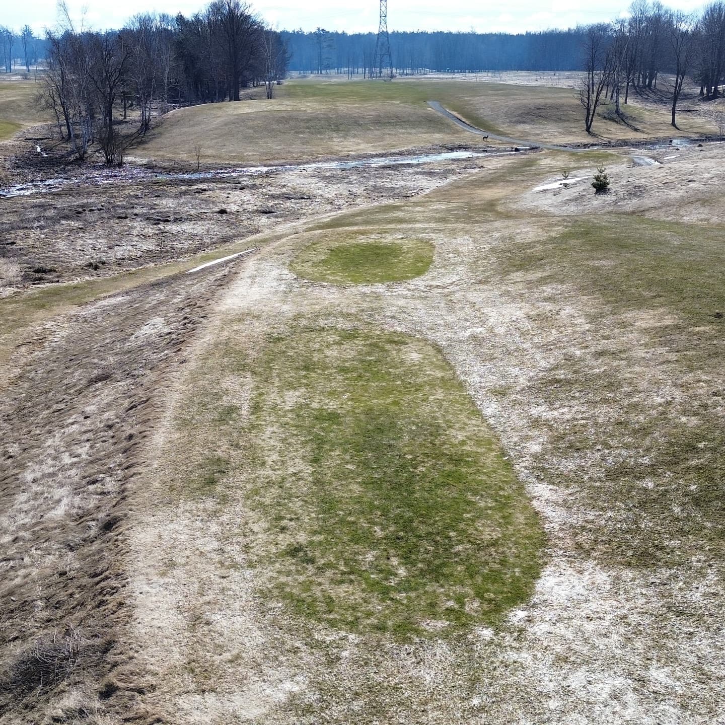 The greens made it through the ice storm π₯
Stay tuned for opening day announcement!