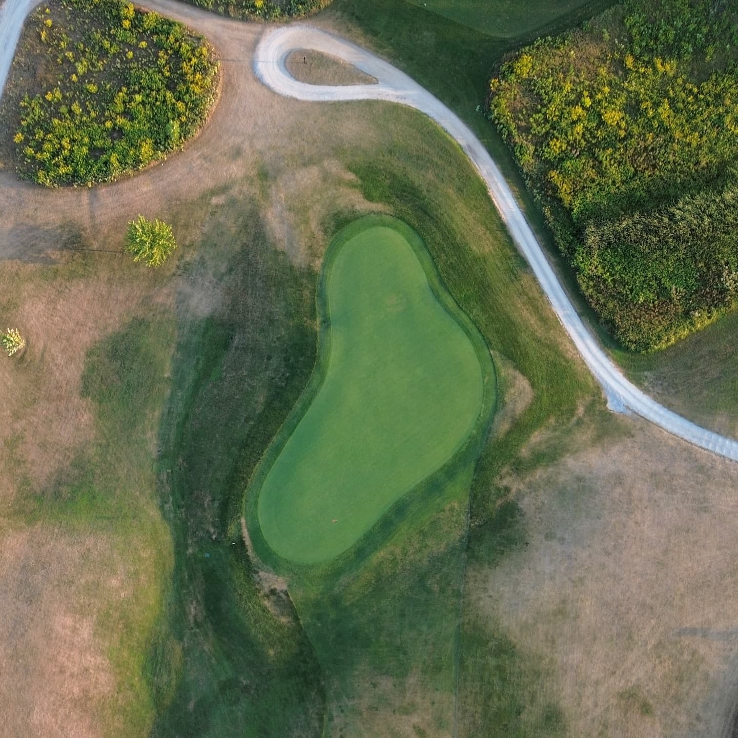 Course is crispy π₯π₯π₯π₯
The least amount of rain weβve seen in a very long time. The course is playing so firm and fast π#SummerGolf