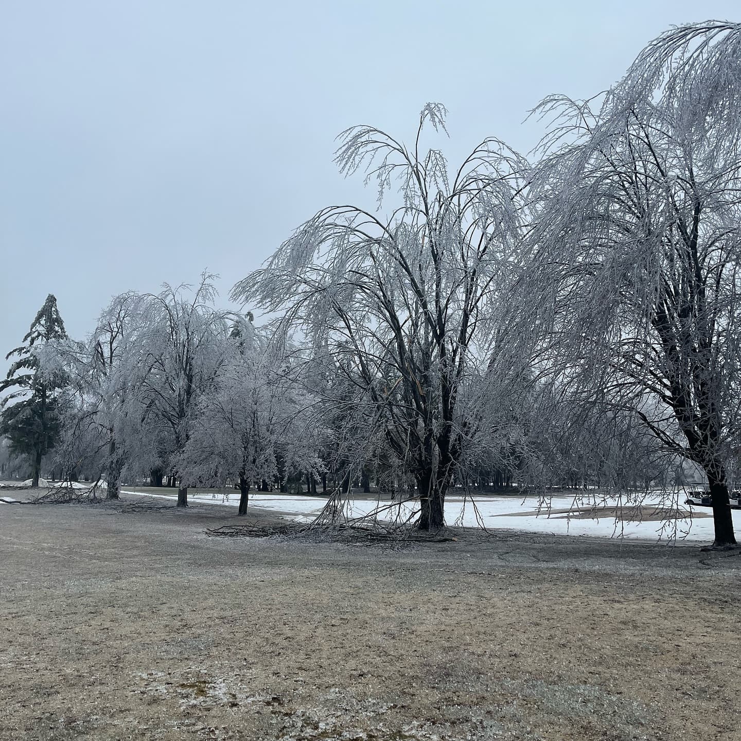Ice storm to drought - another amazing season at LSGπ
Thanks to everyone for the support! #PlayTheLake