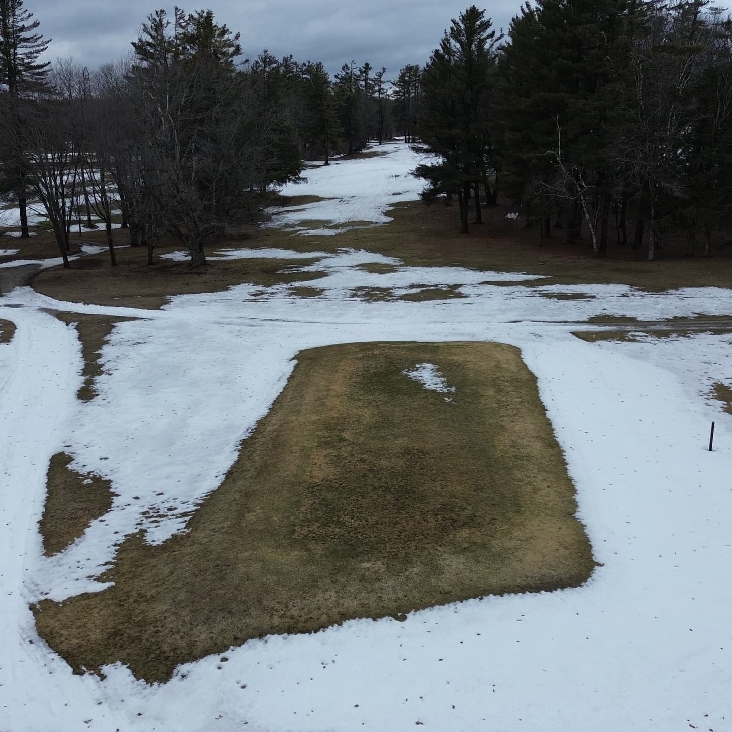 Greens are looking awesome after a long winter π