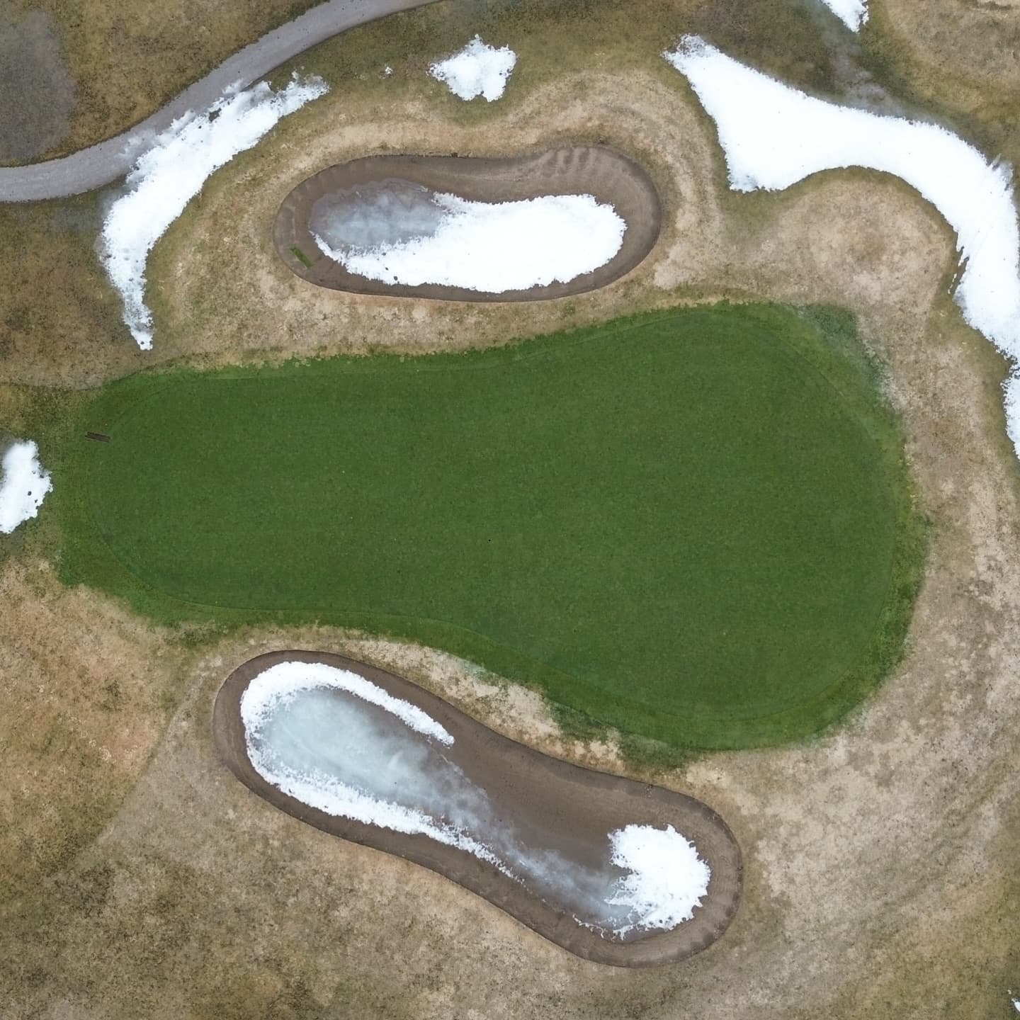 Greens are looking awesome after a long winter π