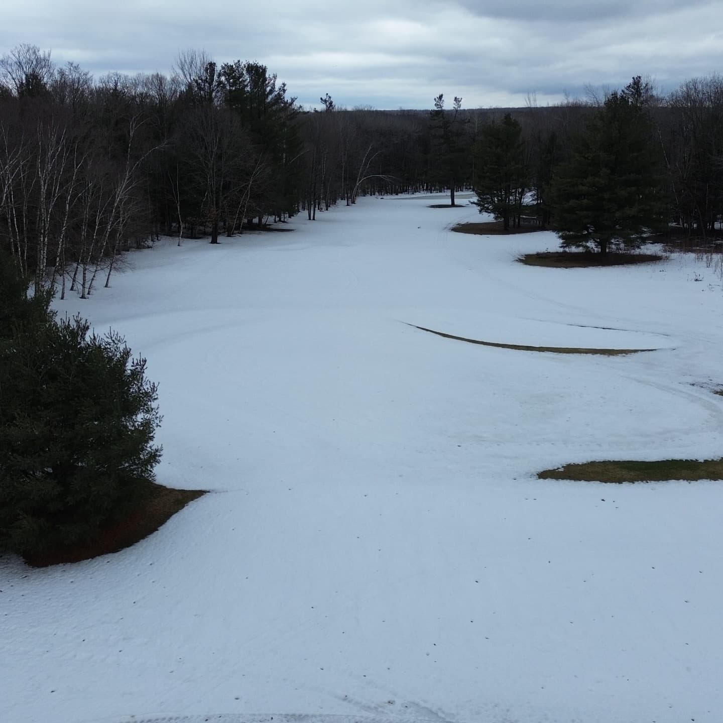 Greens are looking awesome after a long winter π