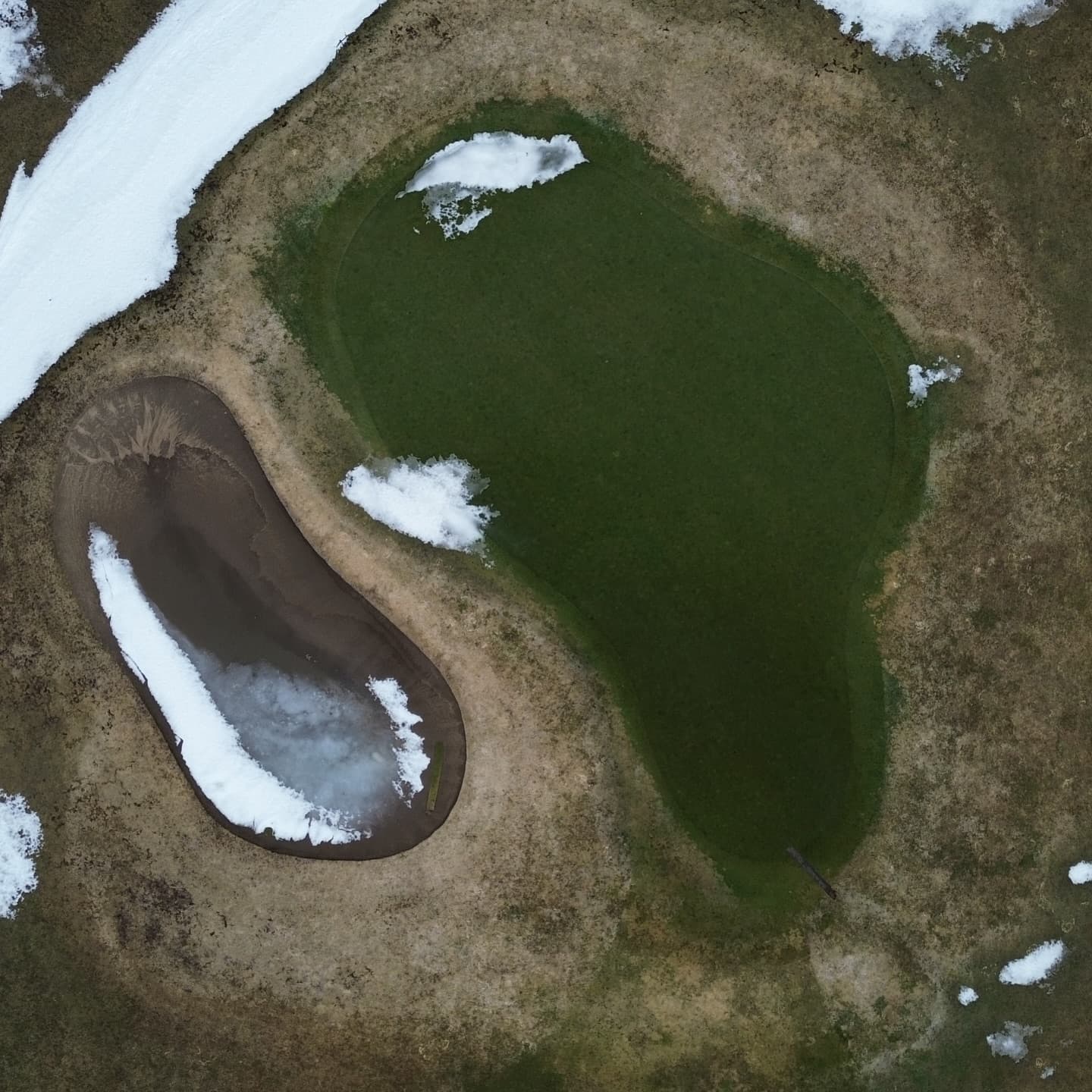 Greens are looking awesome after a long winter π