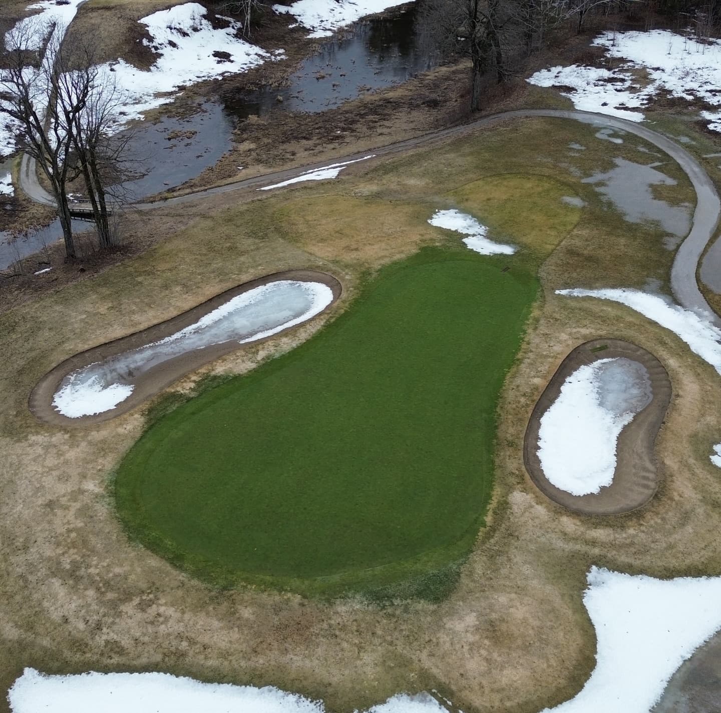 Greens are looking awesome after a long winter π