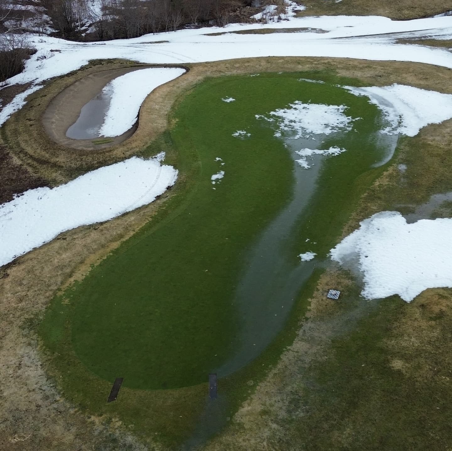 Greens are looking awesome after a long winter π