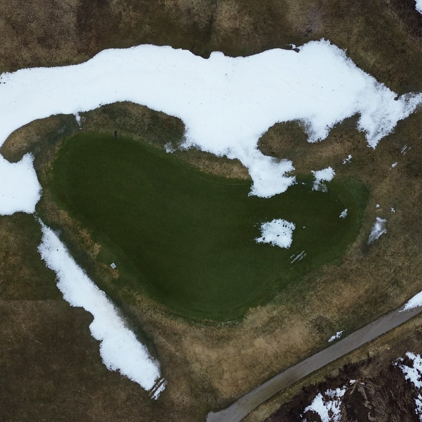 Greens are looking awesome after a long winter π