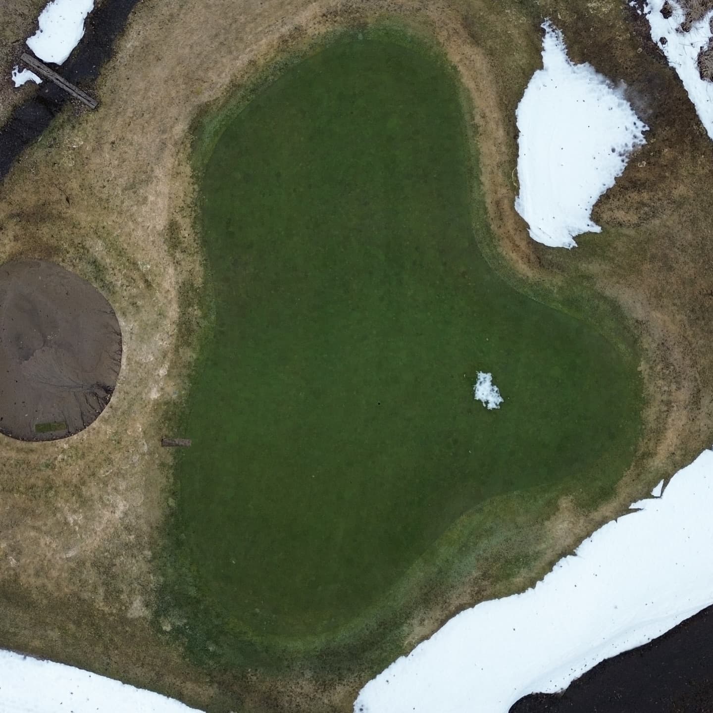 Greens are looking awesome after a long winter π