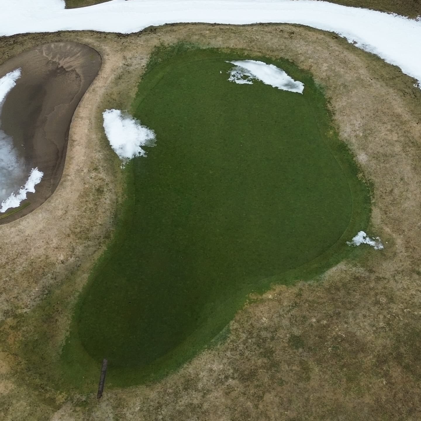 Greens are looking awesome after a long winter π