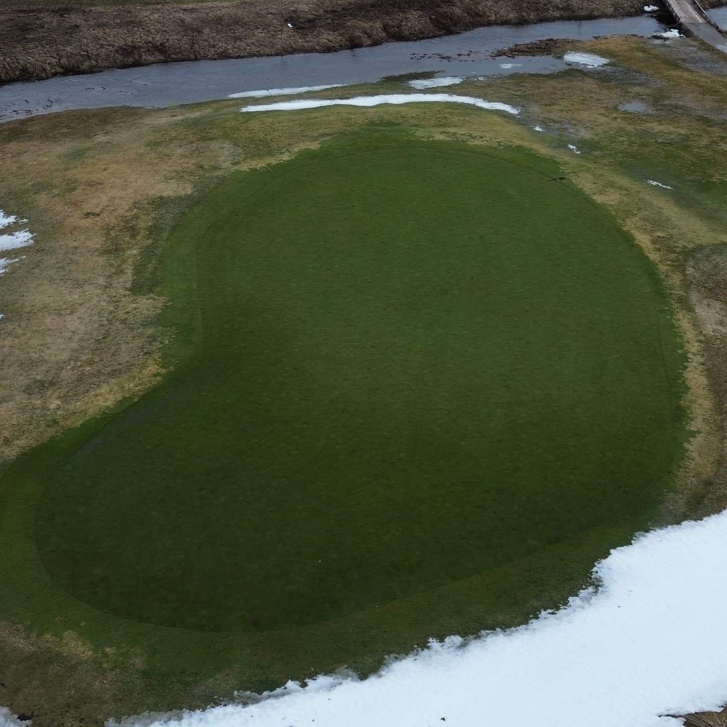 Greens are looking awesome after a long winter π
