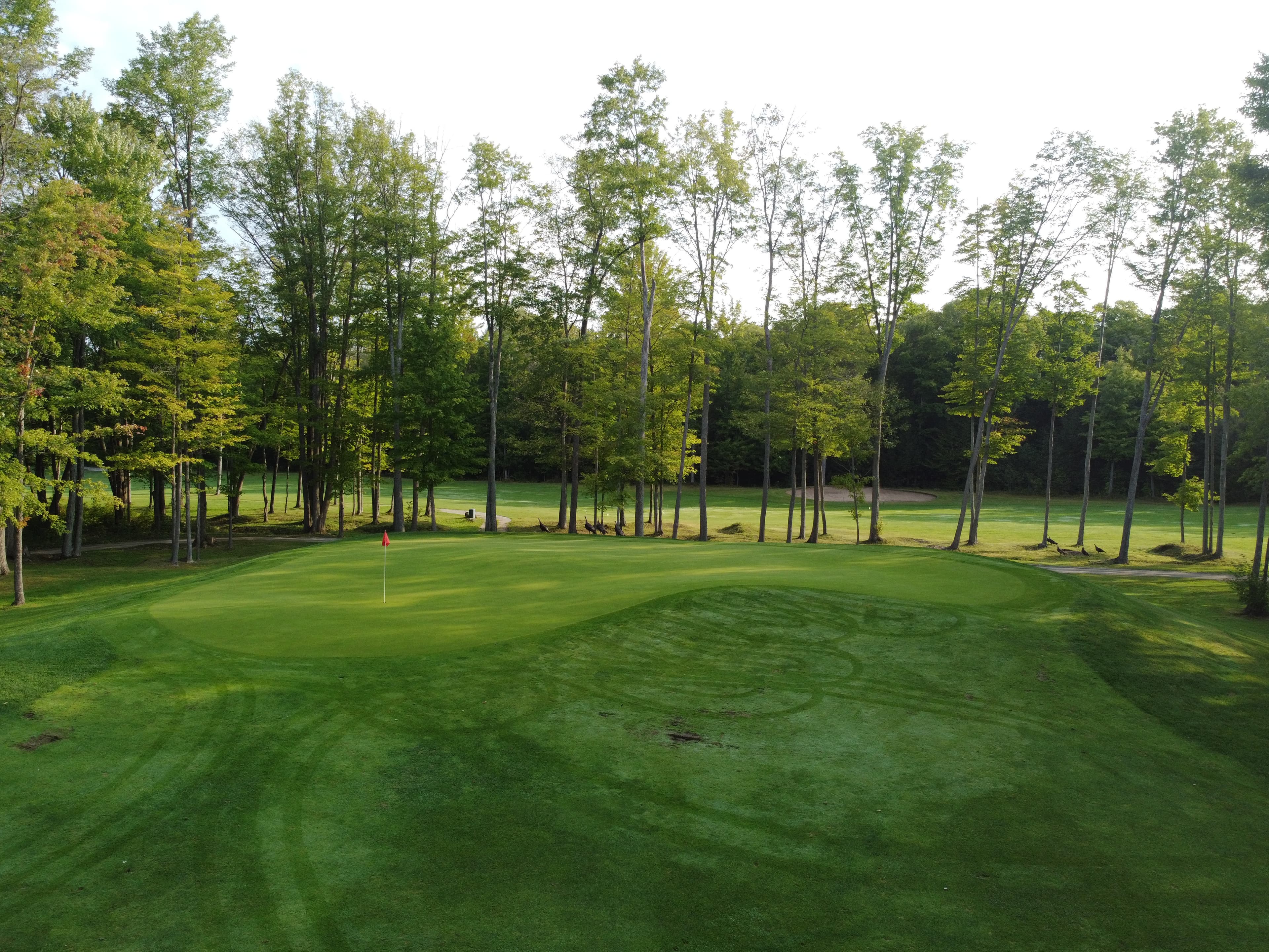 Hole number 4 on the South course