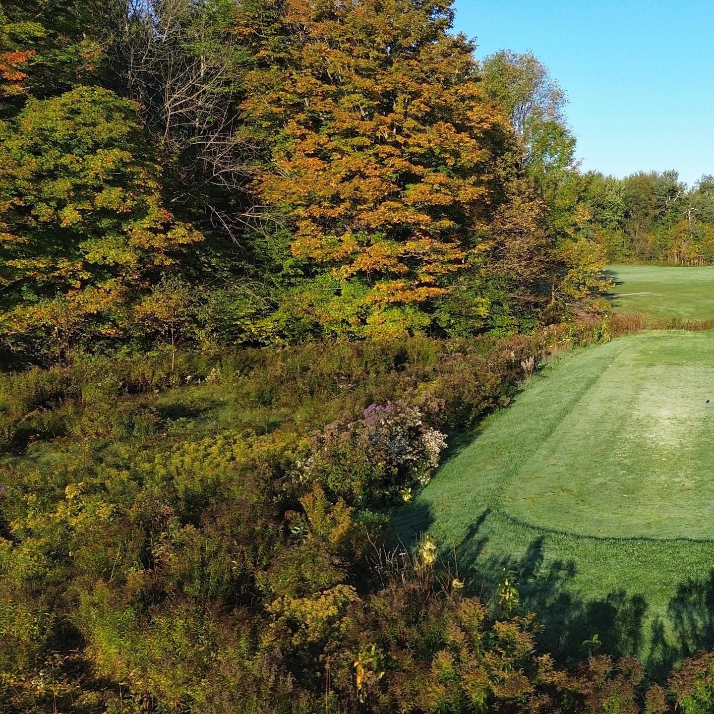 Starting to see some colour 👌#FallGolf