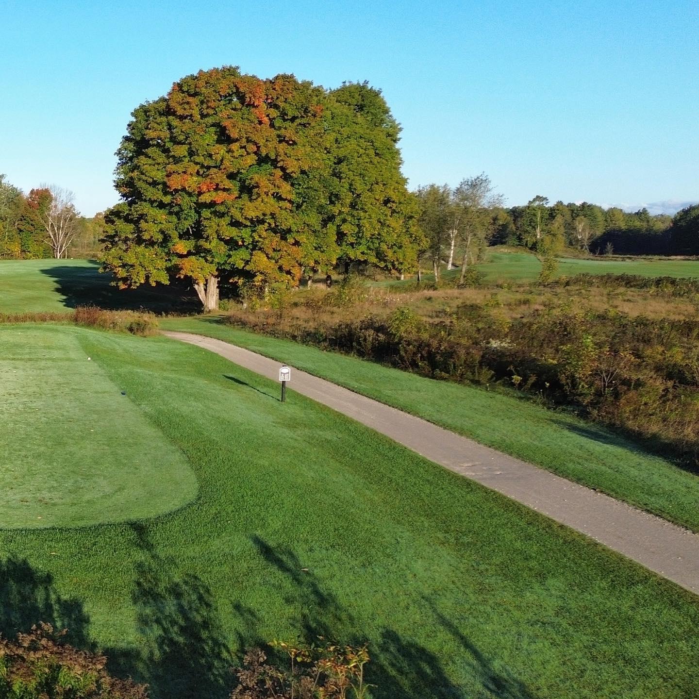 Starting to see some colour 👌#FallGolf