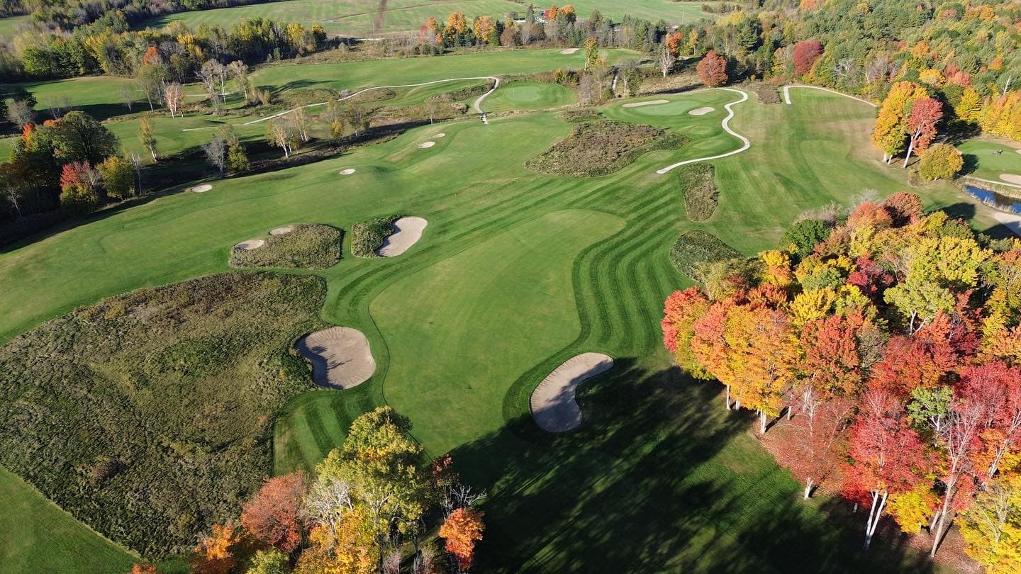 The colours are looking good for thanksgiving weekend 🍁