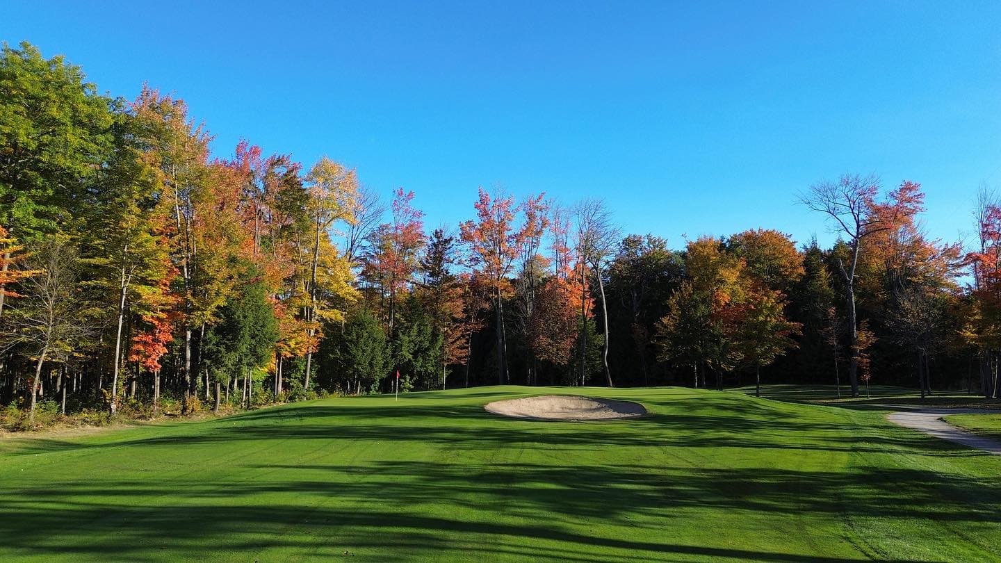 The colours are looking good for thanksgiving weekend 🍁