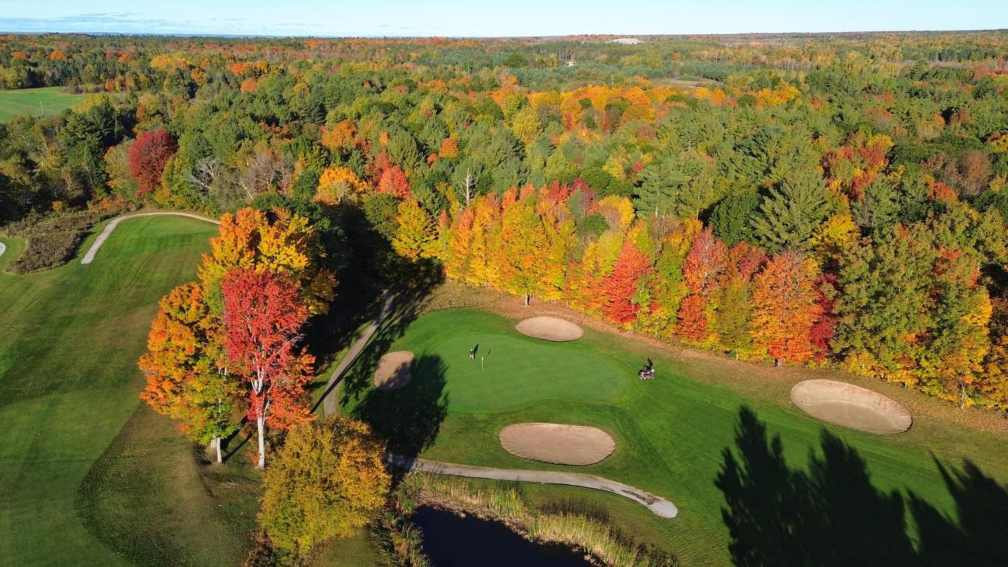 The colours are looking good for thanksgiving weekend 🍁