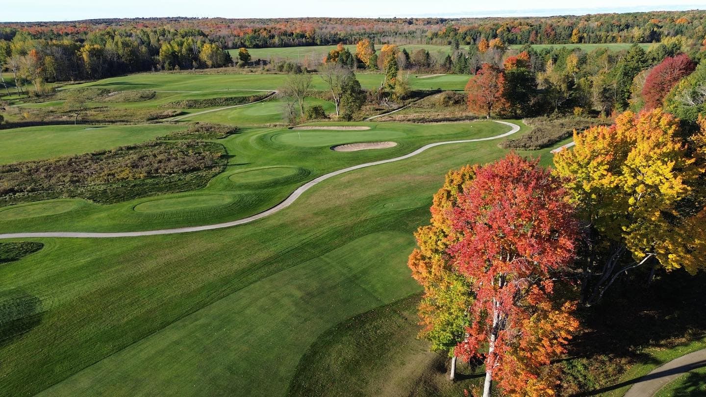 The colours are looking good for thanksgiving weekend 🍁