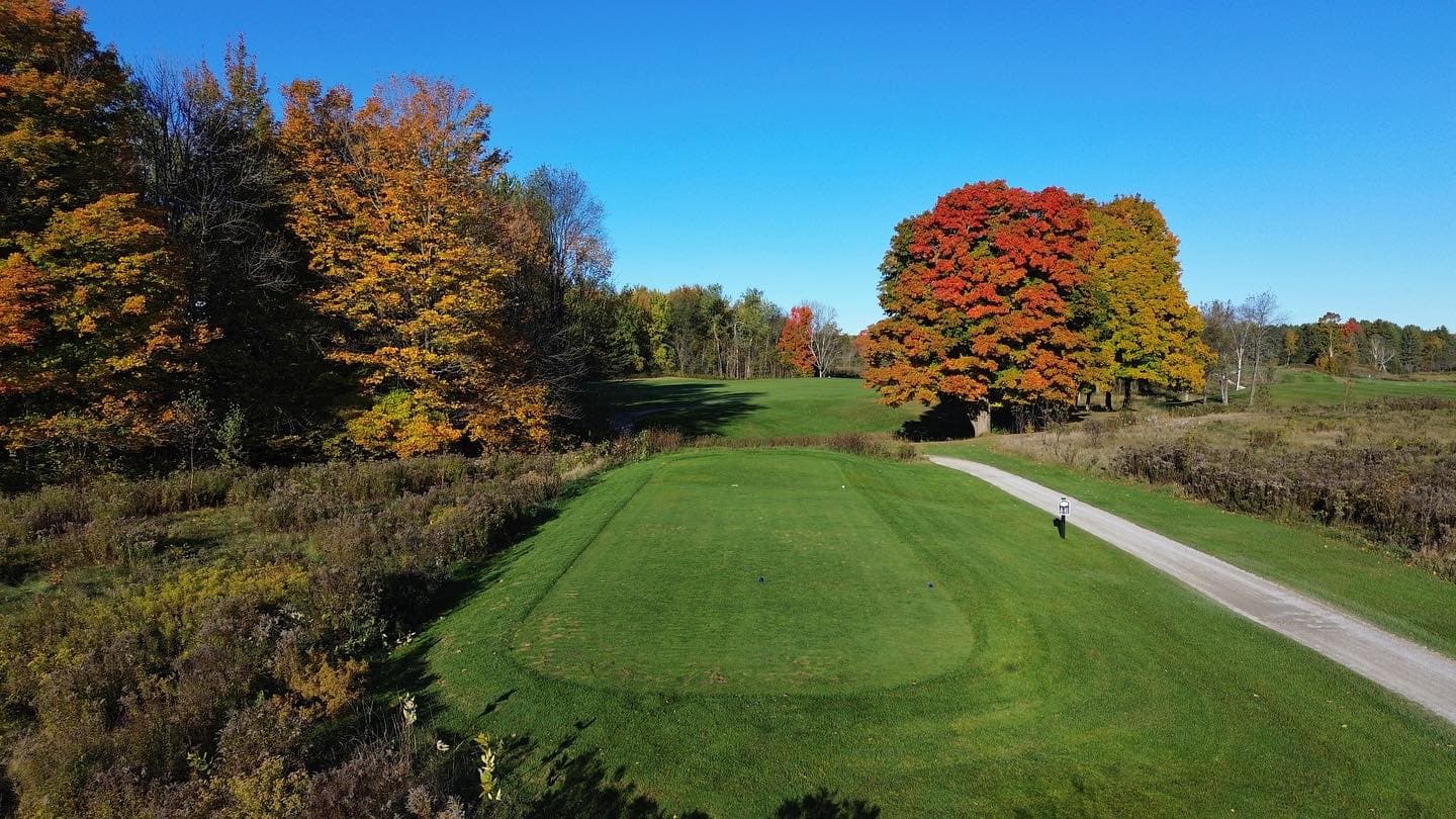 The colours are looking good for thanksgiving weekend 🍁