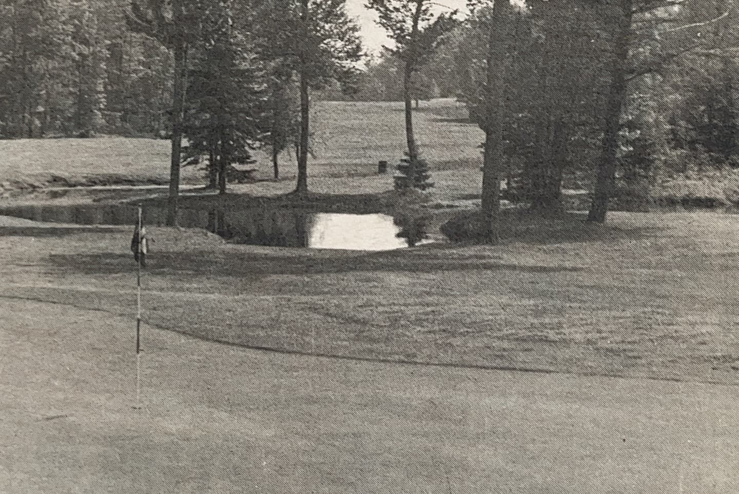 The approach to 1 south was originally blocked out by trees. Most of the trees were cleared out in the early 1980s.
The first photo shows the approach in the 1975. The second is shortly after clearing out most of the trees in the 1980s!
#PlayTheLake