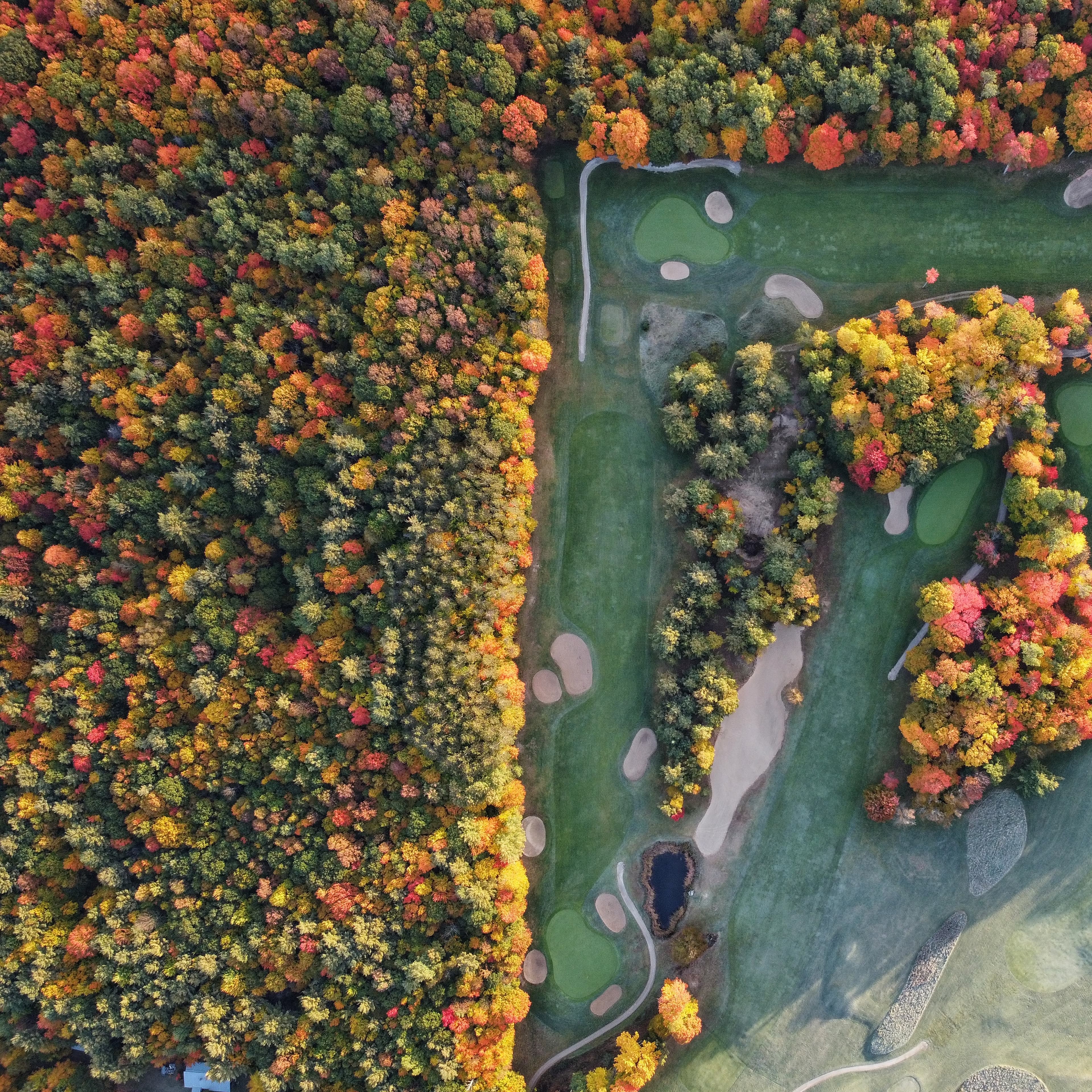 Fall golf is almost here π₯