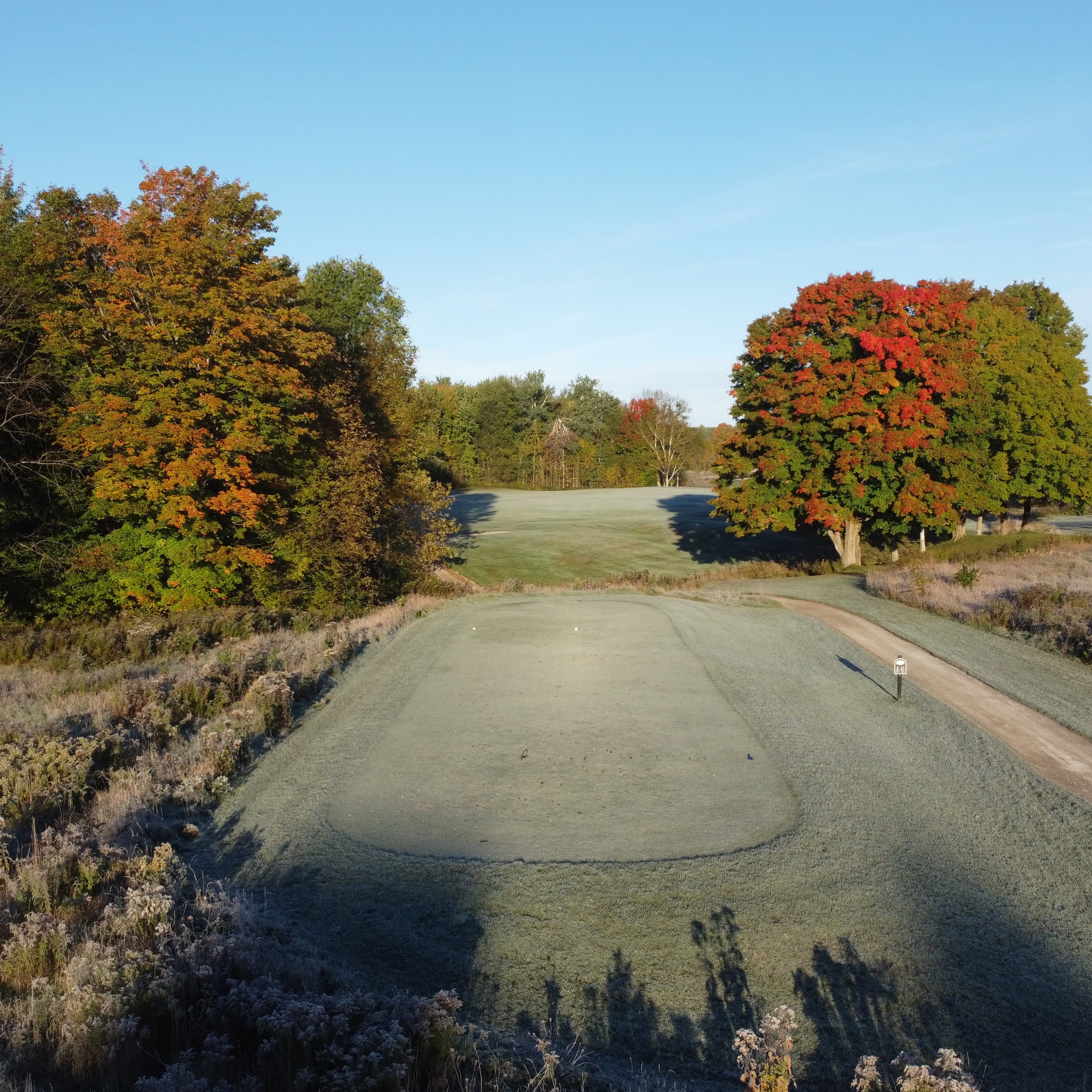 Frosty mornings coming soon π₯Άπ₯